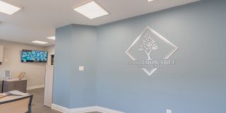 Persimmon Tree Gallery 8