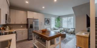 Birchway Tropicana Gallery 42