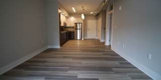 Main2525 Gallery 18