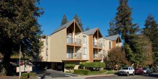 Atrium Downtown Gallery 19