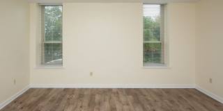 Chestnut Hill East Gallery 32