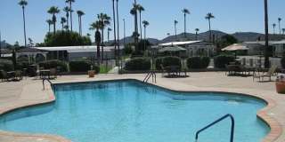 16608 N. 1st Lane, #142 Gallery 6