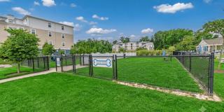 Carillon Woods Gallery 18