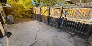 Live in the Timbers Gallery 23