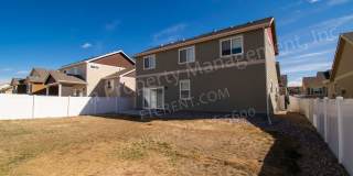 Beautiful 4-Bedroom in Greeley Colorado Beautiful 4-Bedroom in Greeley Colorado Gallery 37