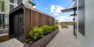 The Piper Gallery 38