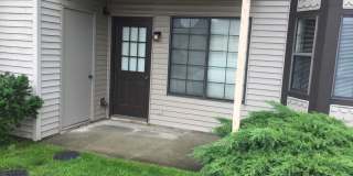PINEVIEW Gallery 8