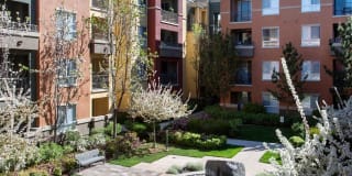 Waterford Place Gallery 26