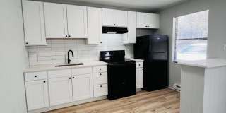 Newly Remodeled 1 Bedroom Apartment Gallery 1