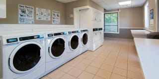 The Commons at Windsor Gardens Gallery 30