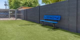 Rise Biltmore Gallery 58