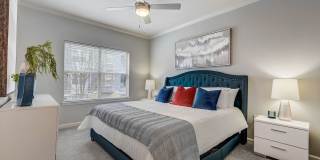 The Aster Buckhead Gallery 2