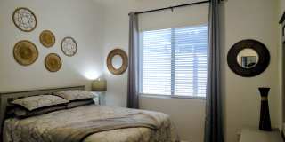 522 S 197th Ln Gallery 15