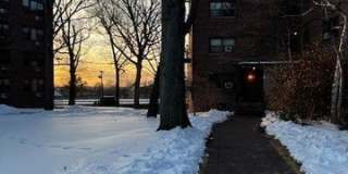 3021 Edwin Avenue 1J Gallery 1