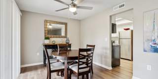 Buena Vista Gallery 84