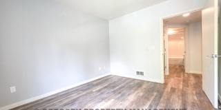 925 110th Ave NE Gallery 26