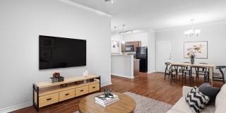 Lirio Gallery 3