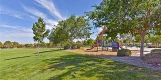 8836 Iron Hitch Avenue Gallery 18