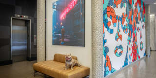 Affordable Housing - Houston House Gallery 11