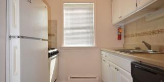 Graduate and Professional Gallery 86