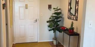 5903 MOUNT EAGLE Drive Gallery 18