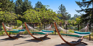 81 Fifty at West Hills Gallery 18