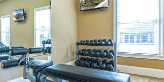 Steeplechase at Parkview Gallery 36