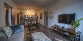 The Strand Gallery 7