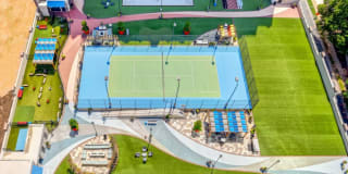 The Ascher Uptown Gallery 2