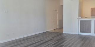 MOVE IN SPECIAL: $300 off the first full month of rent! Gallery 4
