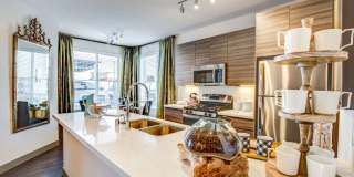 The Douglas at Stonelake Gallery 11