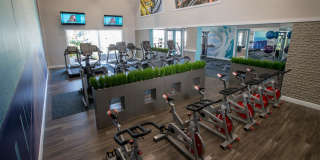 Banyan Bay Gallery 37