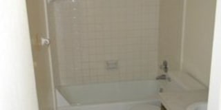 1604-2 Carolewood Ct Gallery 14