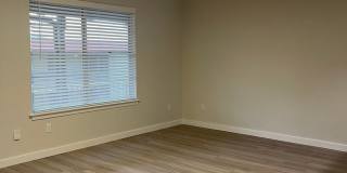 Kensington Court Gallery 33