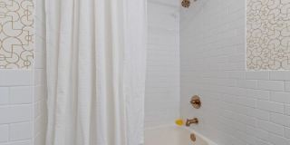 4532 N Damen Gallery 3