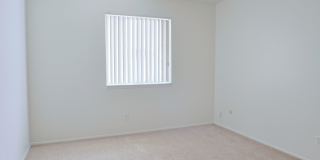 Ambassador Arms Gallery 13