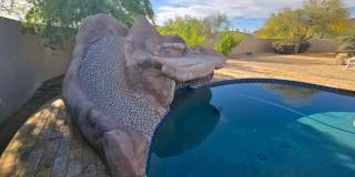 4485 E Quail Brush Road Gallery 51