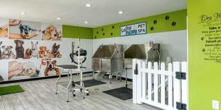 Compass at City Center Gallery 17