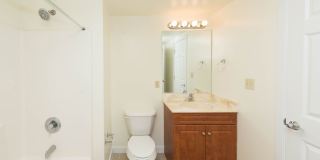 Chestnut Hill East Gallery 38
