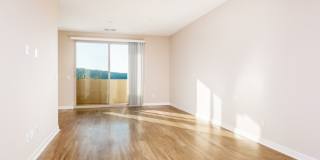 Ocean Air Gallery 10