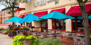 The Courts Of Devon Gallery 52