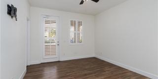 28700 Alessandria Cir Gallery 17