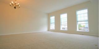 8250 RED CARNATION Court Gallery 18