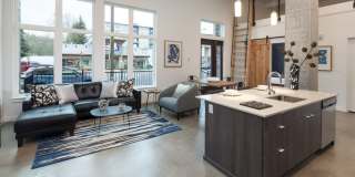 The Carter on the Park Gallery 4