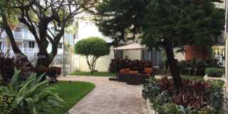 10210 Collins Ave Gallery 3