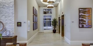 Sofia Coral Gables Gallery 15