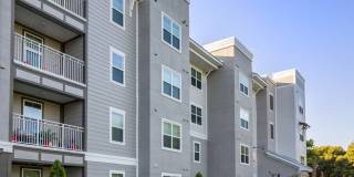 Summerset Apartments Gallery 29