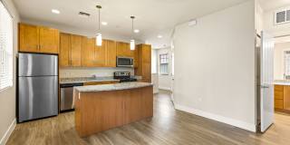 Mountain Trail Gallery 39