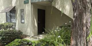 3510 W Sweetbay Court Gallery 1