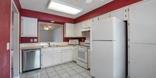 3 Walter Place Gallery 4